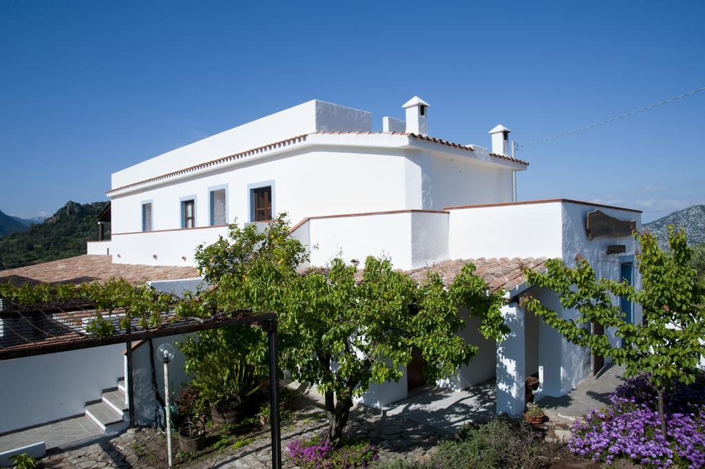 Turismo Rurale Belvedere Pradonos Dorgali Zewnętrze zdjęcie
