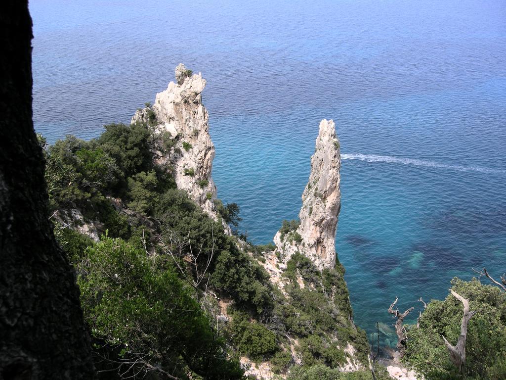 Turismo Rurale Belvedere Pradonos Dorgali Zewnętrze zdjęcie